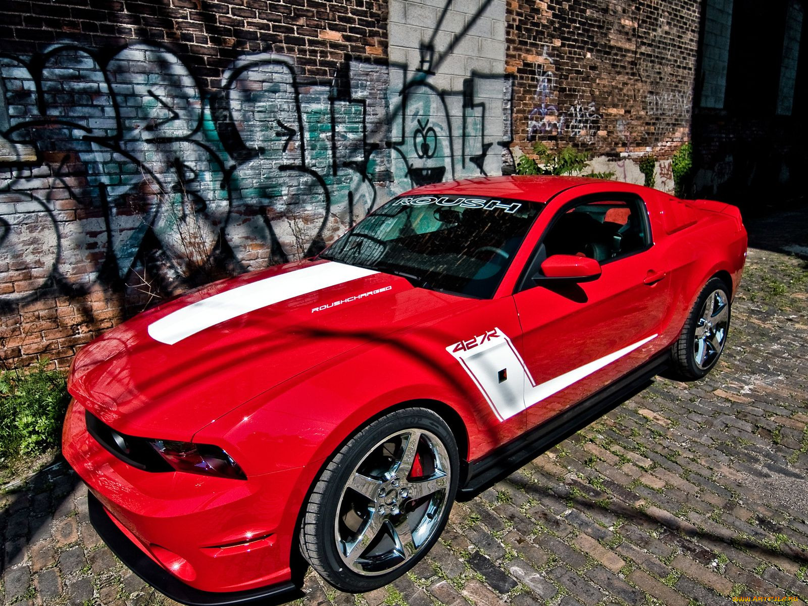 , mustang